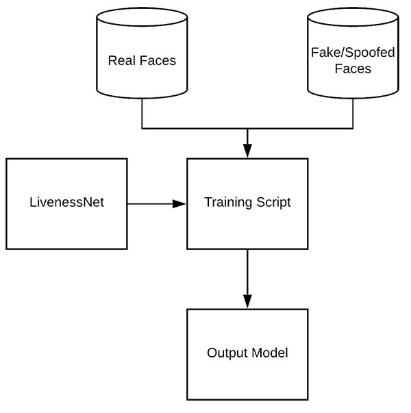 Face Liveness Detection Liveness Model At Master Sakethbachu Face - Premium Landscape Wallpaper - Ultra HD